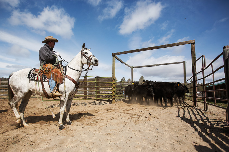 2014_04_brandingday08