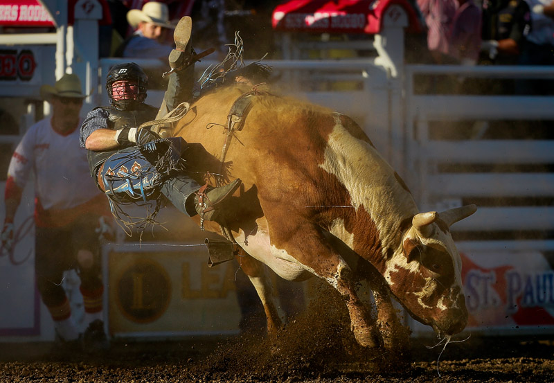 2014_06_sistersrodeo-xtremebulls17