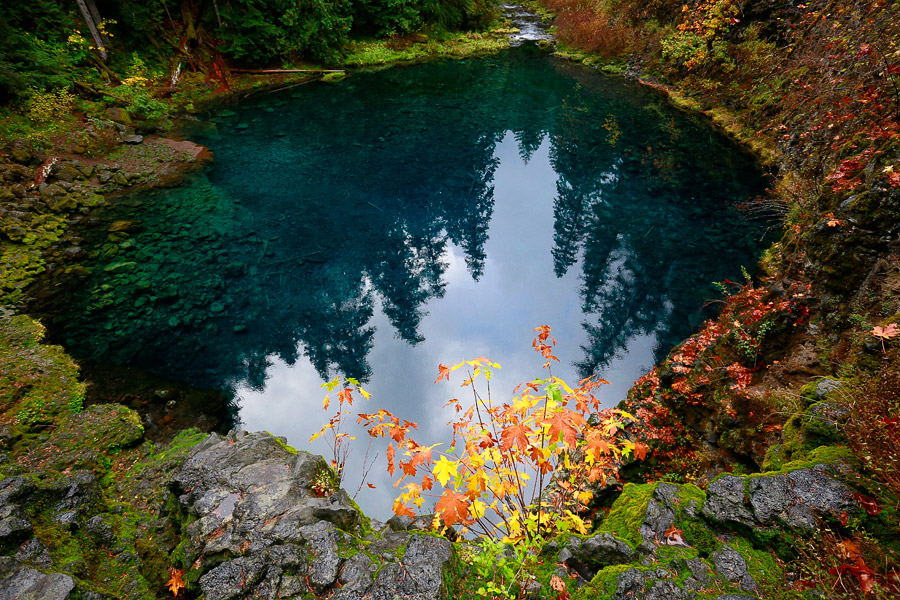 2014_10_fall-mckenzie11