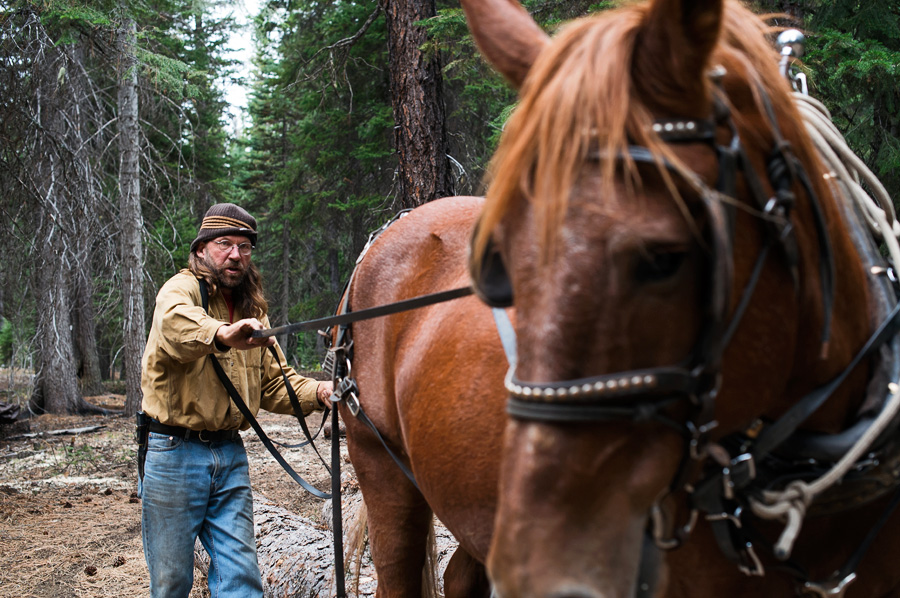 2014_10_horselogger08