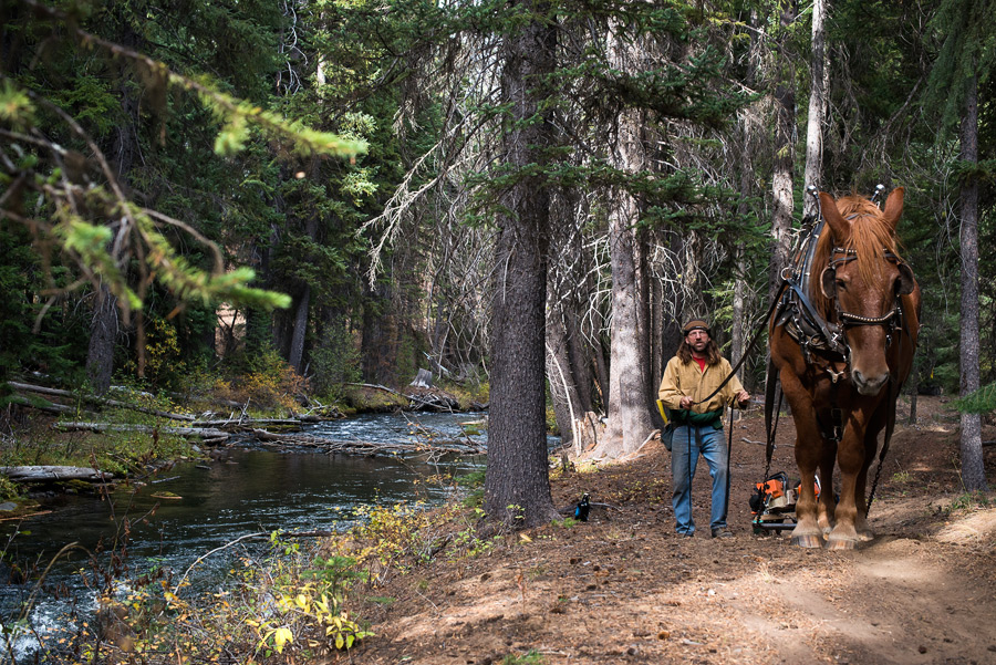 2014_10_horselogger14