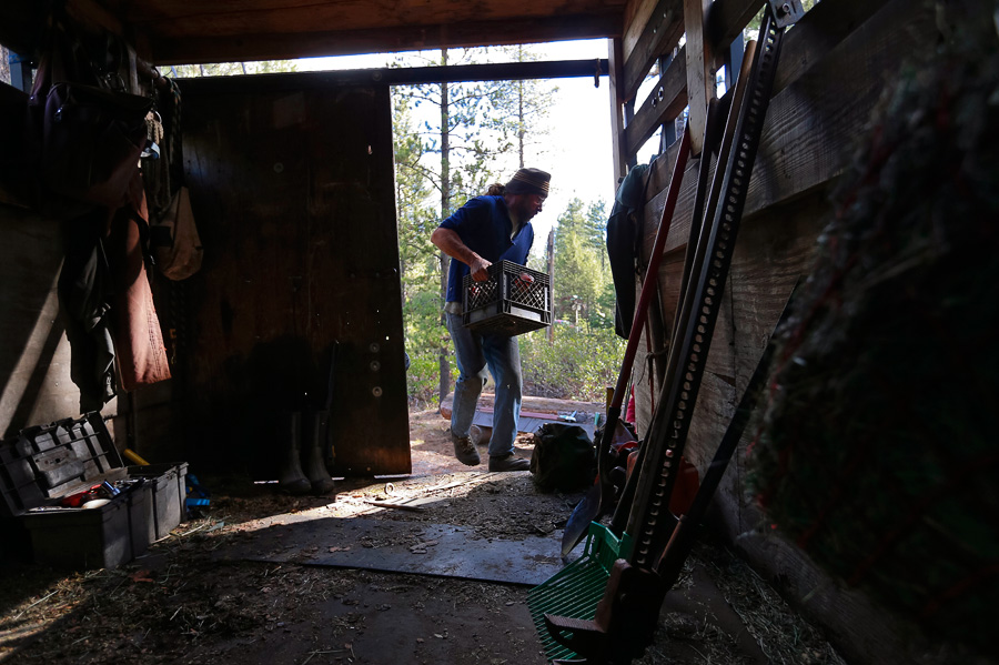 2014_10_horselogger21