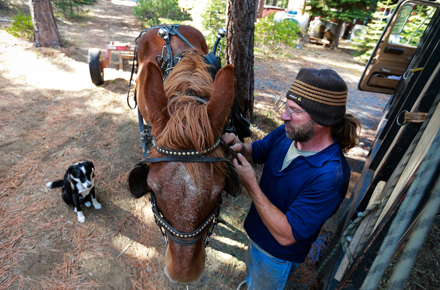 2014_10_horselogger30