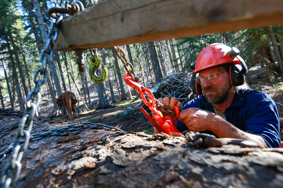 2014_10_horselogger61