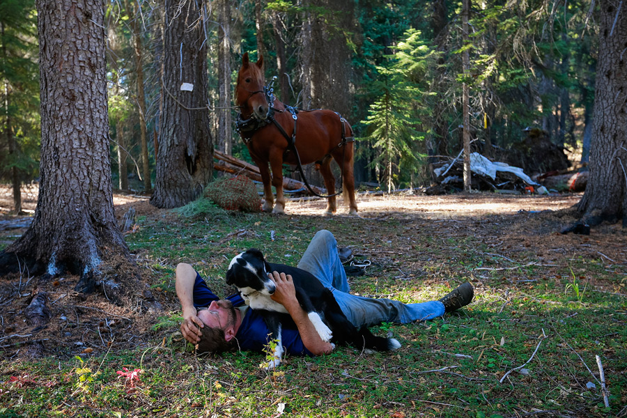 2014_10_horselogger66