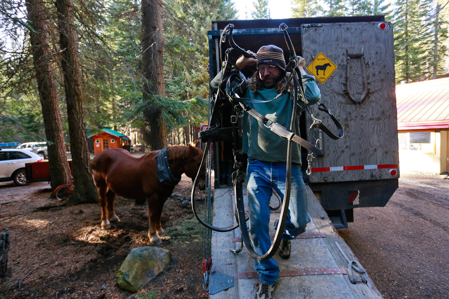 2014_11_horselogger87