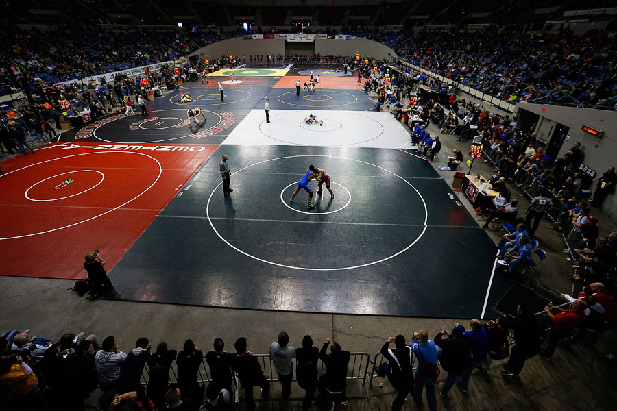 2015_02_statewrestling-13