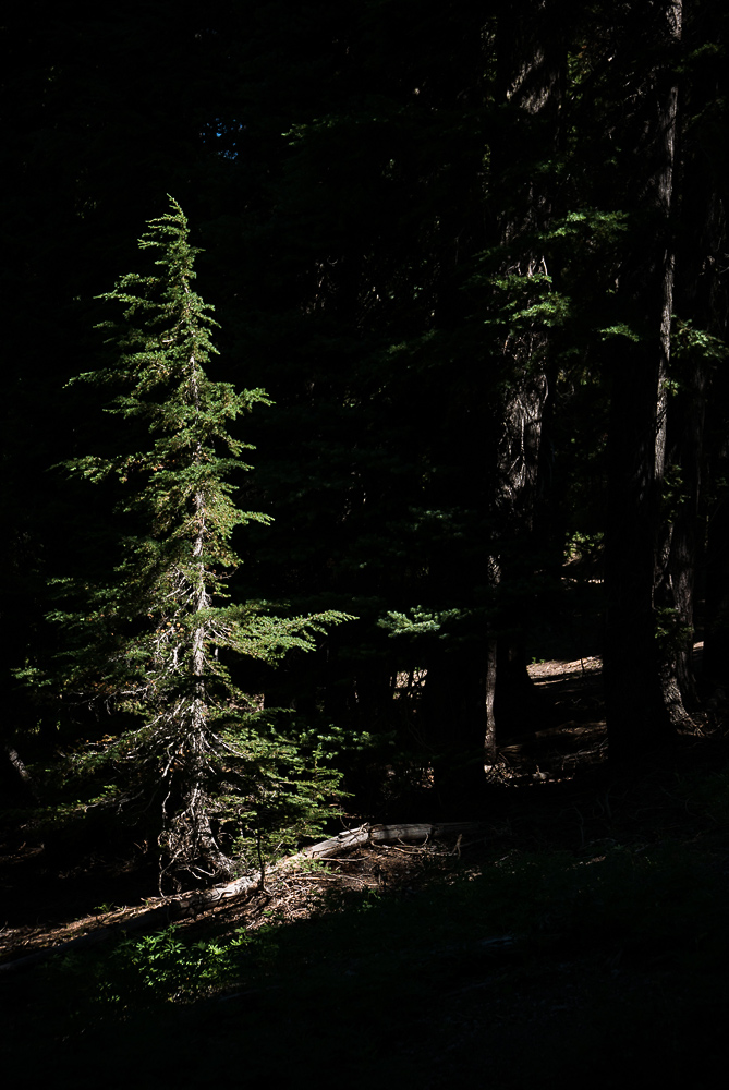 2016_08_greenlakes-drew04