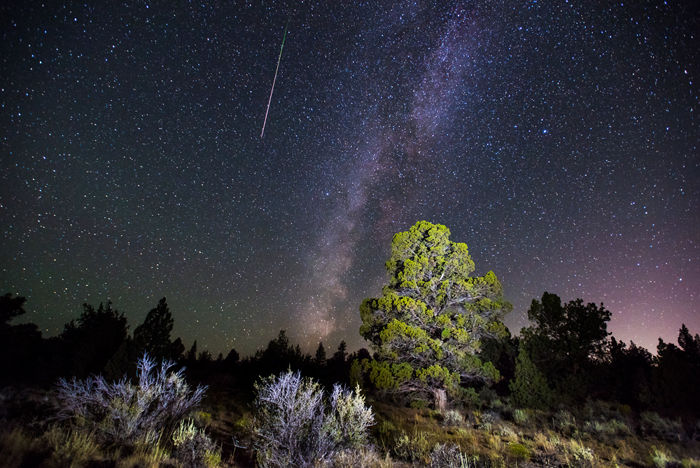 2016_08_perseids13