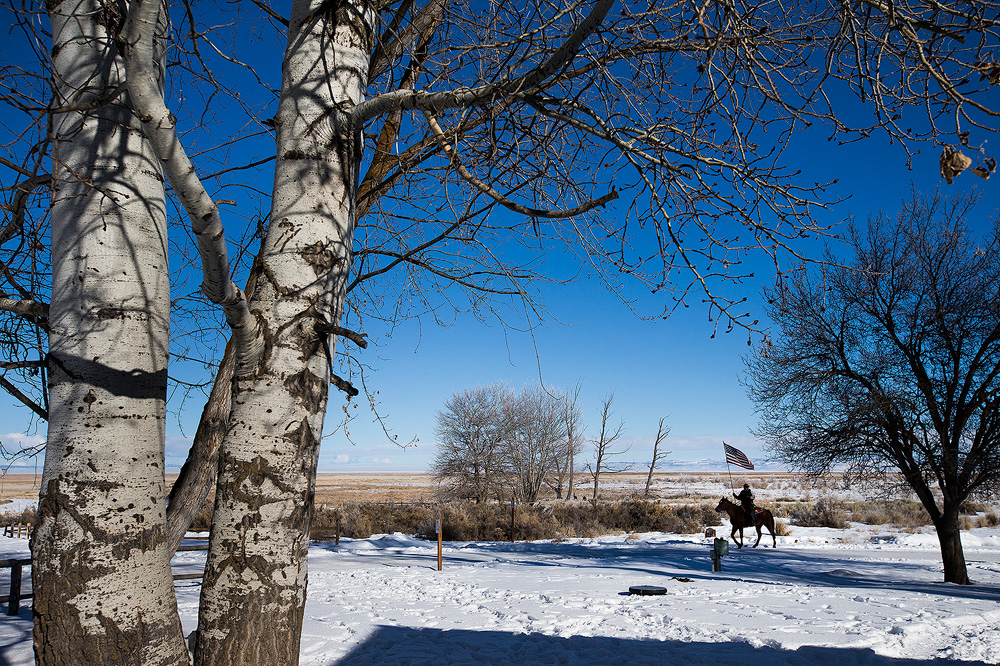 2016_01_burnsrefuge-82