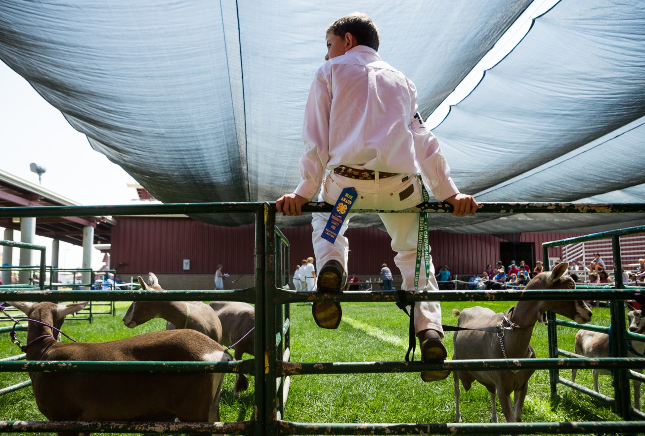 2017_08_desctyfair02